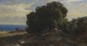 A large tree by the sea